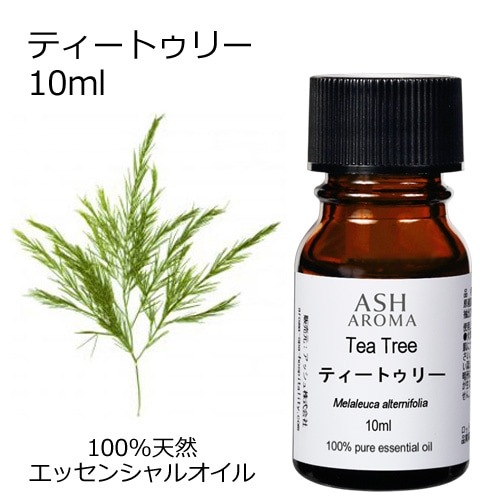 ティートゥリー 精油 10ml 箱入り エッセンシャルオイル アロマオイル ASH AROMA