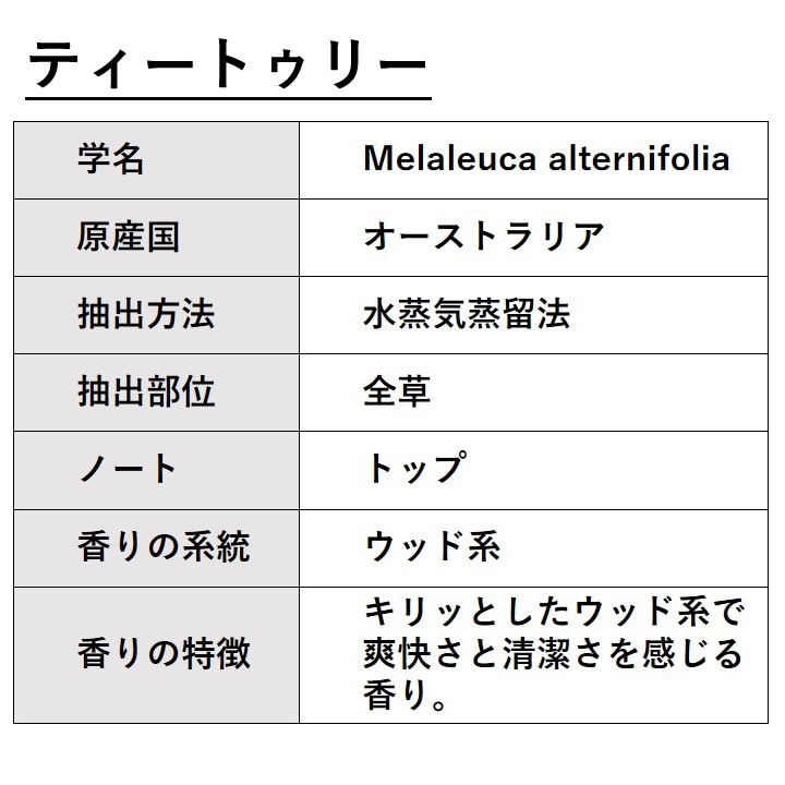 ティートゥリー 精油 10ml 箱入り エッセンシャルオイル アロマオイル ASH AROMA