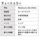 ティートゥリー 精油 10ml 箱入り エッセンシャルオイル アロマオイル ASH AROMA