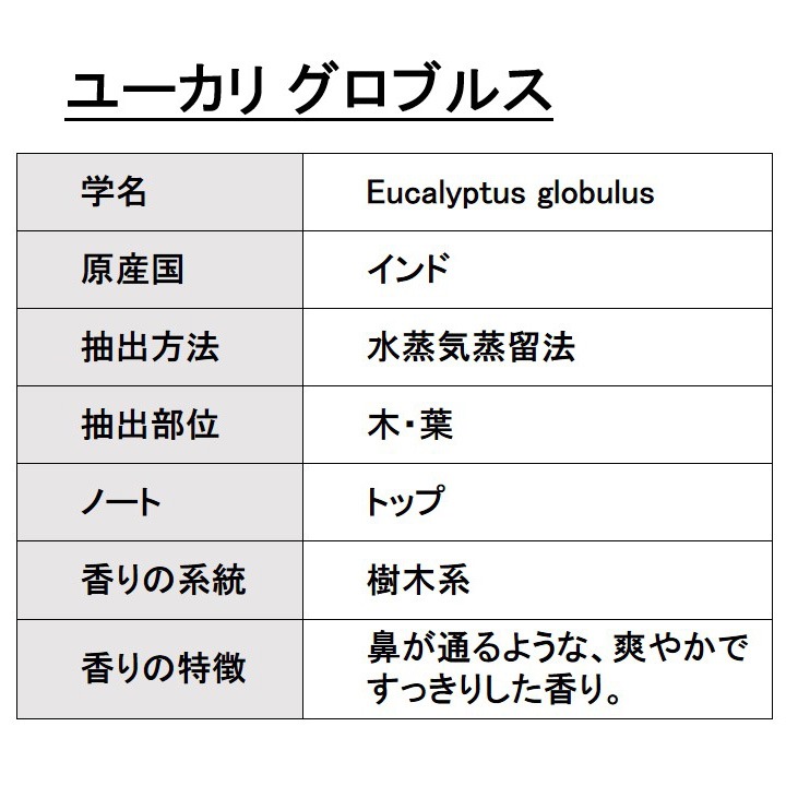 オーガニック ユーカリグロブルス エッセンシャルオイル 50ml アロマオイル 精油 ブルーガム AEAJ認定 天然 有機 Organic 業務用