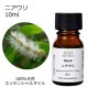 ニアウリ 精油 10ml 箱入り エッセンシャルオイル アロマオイル ASH AROMA