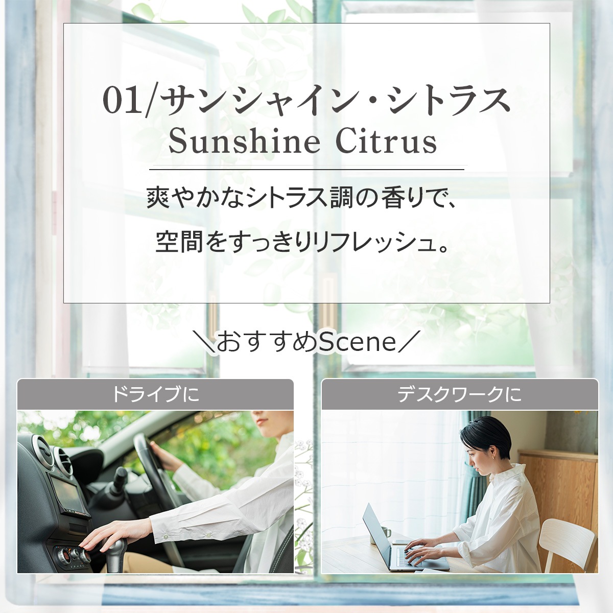 ルームフレグランススプレー 5種類から選べる 20ml×2本セット プッシュタイプ ASH AROMA