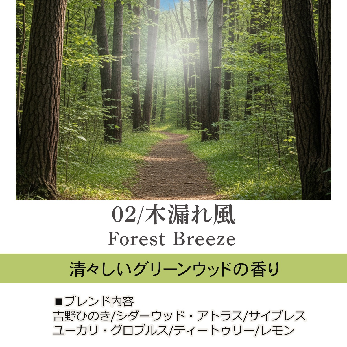 ルームフレグランススプレー 5種類から選べる 20ml×2本セット プッシュタイプ ASH AROMA