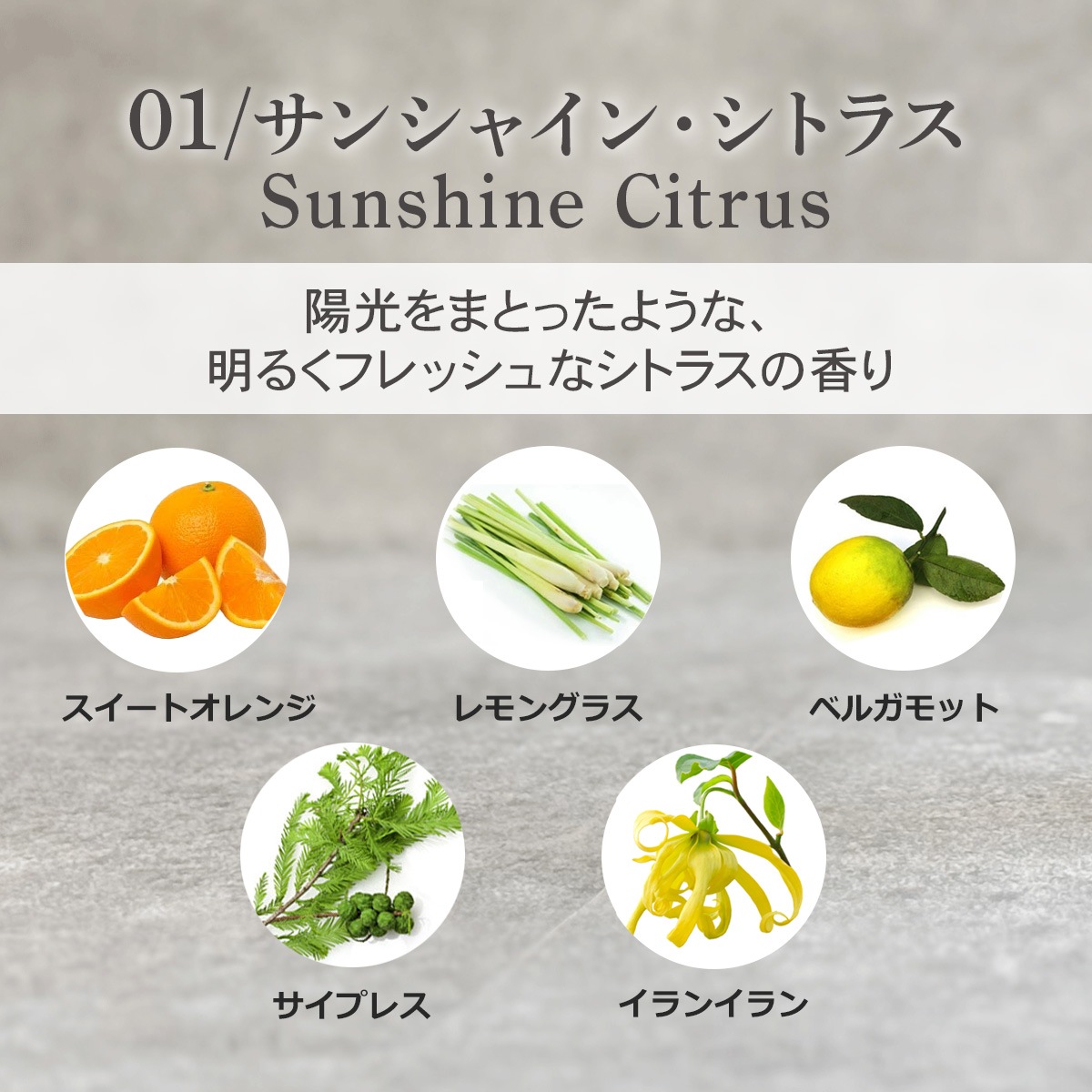 ルームフレグランススプレー 5種類から選べる 20ml×2本セット プッシュタイプ ASH AROMA