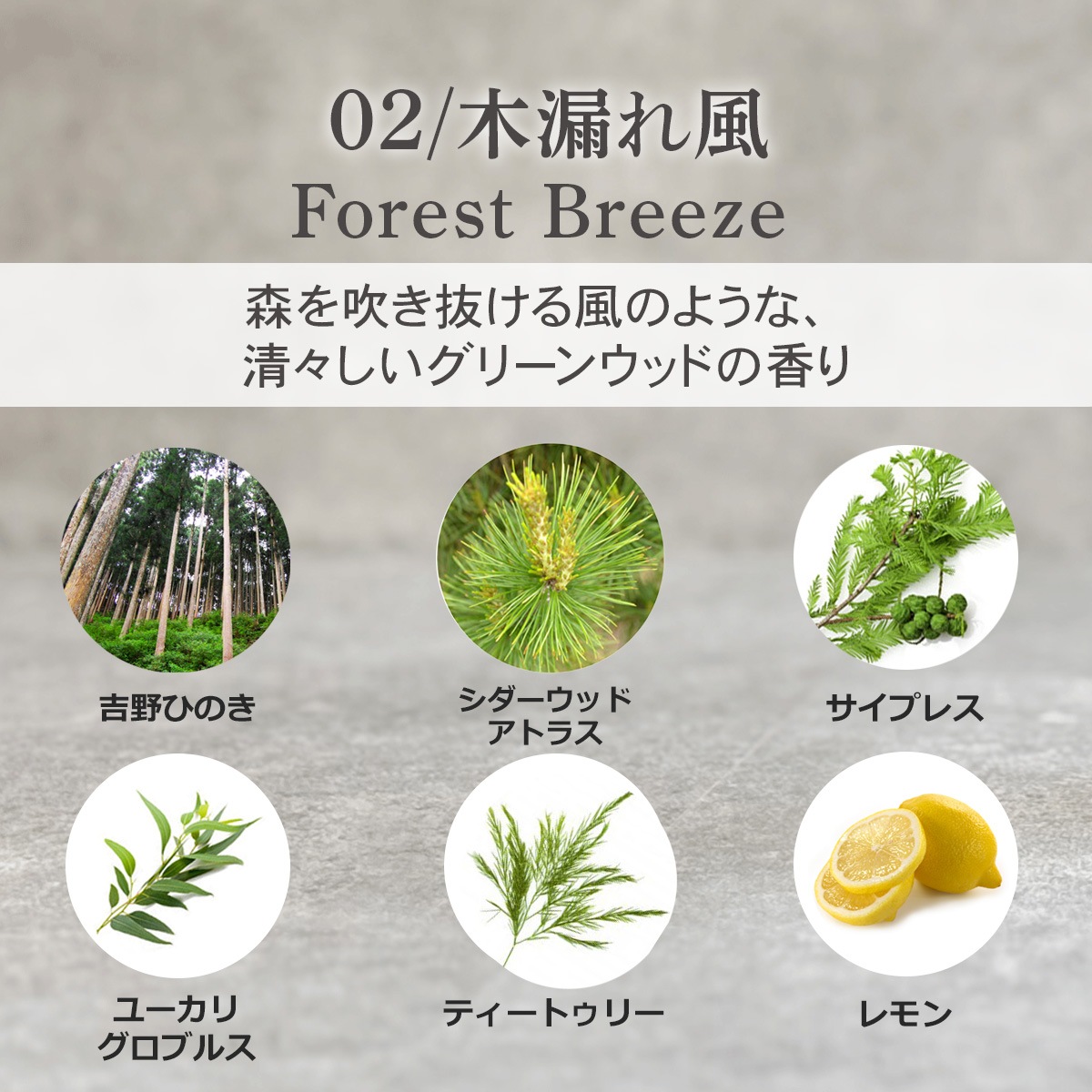 ルームフレグランススプレー 5種類から選べる 20ml×2本セット プッシュタイプ ASH AROMA