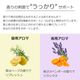 Day （昼用）アロマブレンドオイル 50ml　【アロマオイル エッセンシャルオイル 精油】  TVと同じ配合比率 天然100％ アロマ 業務用 ブレンドオイル レモン ローズマリー