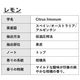 レモン 精油 10ml×5本 ラベルなし エッセンシャルオイル アロマオイル ASH AROMA