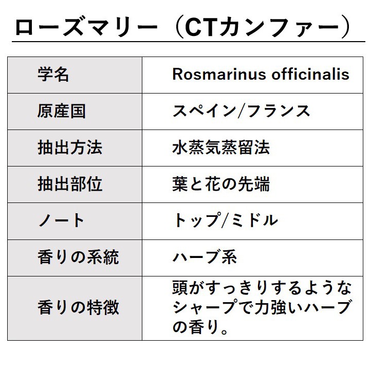 ローズマリー （CTカンファー)  100ml 【エッセンシャルオイル アロマオイル 精油 ハーブ系】【AEAJ表示基準適合認定精油】