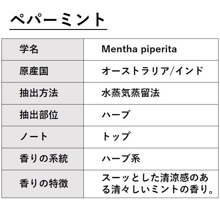 ペパーミント 10ml 箱入り【エッセンシャルオイル アロマオイル 精油 ミント ハーブ系】【AEAJ表示基準適合認定精油】