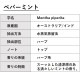 ペパーミント 10ml 箱入り【エッセンシャルオイル アロマオイル 精油 ミント ハーブ系】【AEAJ表示基準適合認定精油】