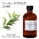 ユーカリ グロブルス 100ml 【エッセンシャルオイル アロマオイル 精油 樹木系】【AEAJ表示基準適合認定精油】