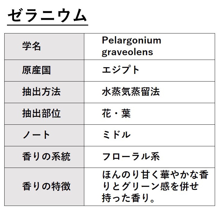 ゼラニウム 30ml 【エッセンシャルオイル アロマオイル 精油 フローラル系】【AEAJ表示基準適合認定精油】
