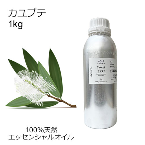 カユプテ 業務用 1kg 【エッセンシャルオイル アロマオイル 精油 樹木系】【AEAJ表示基準適合認定精油】【安全データシートMSDS発行可】