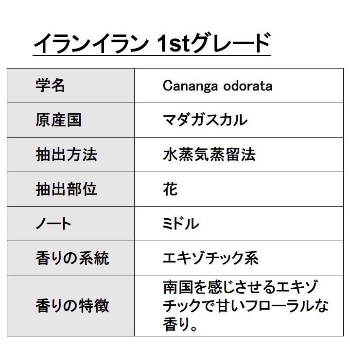 オーガニック イランイラン 1stグレード エッセンシャルオイル 100ml アロマオイル 精油 AEAJ認定 天然 有機 Organic 業務用 