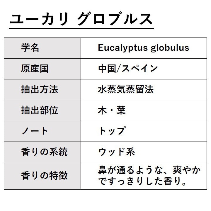 ユーカリ グロブルス 10ml 箱入り【エッセンシャルオイル アロマオイル 精油 樹木系】【AEAJ表示基準適合認定精油】