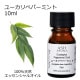 桼ڥѡߥ 10ml Ȣڥå󥷥륪 ޥ  桼ǥ٥ ڷϡۡAEAJɽŬǧ