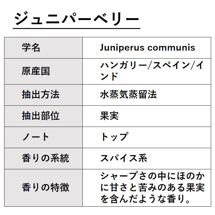 ジュニパーベリー 100ml 【エッセンシャルオイル アロマオイル 精油 スパイス系】【AEAJ表示基準適合認定精油】