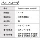 パルマローザ 30ml 【エッセンシャルオイル アロマオイル 精油 エキゾチック系】【AEAJ表示基準適合認定精油】