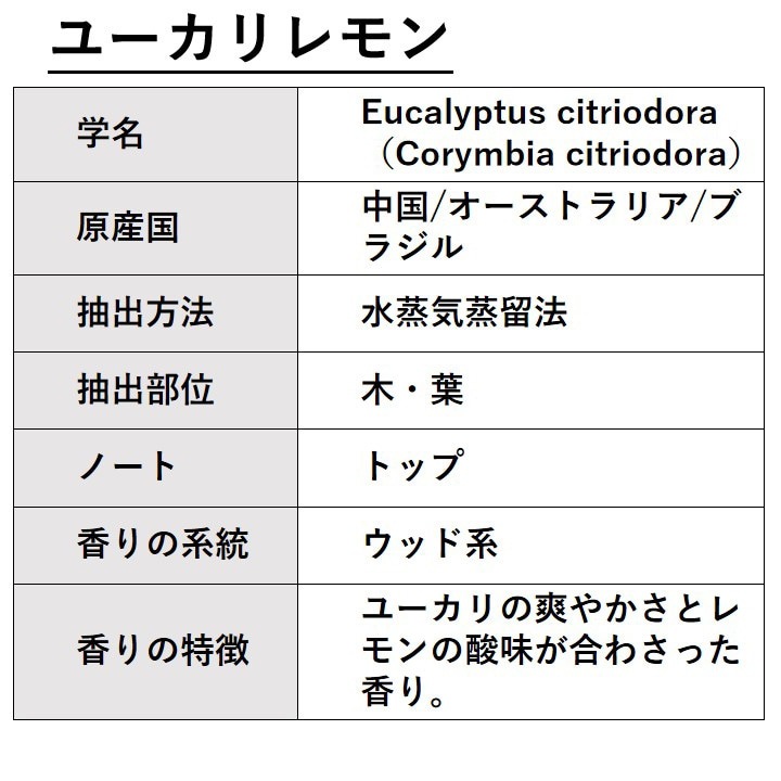 ユーカリレモン （シトリオドラ） 10ml 箱入り【エッセンシャルオイル アロマオイル 精油 樹木系】【AEAJ表示基準適合認定精油】