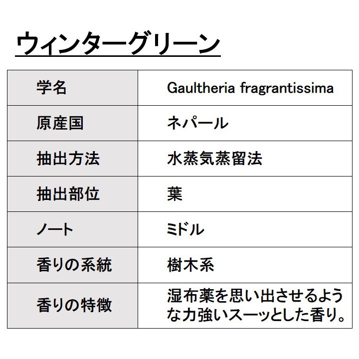 オーガニック ウィンターグリーン エッセンシャルオイル 50ml アロマオイル 精油 冬緑油 チェッカーベリー ヒメコウジ AEAJ認定 天然 有機 Organic 業務用