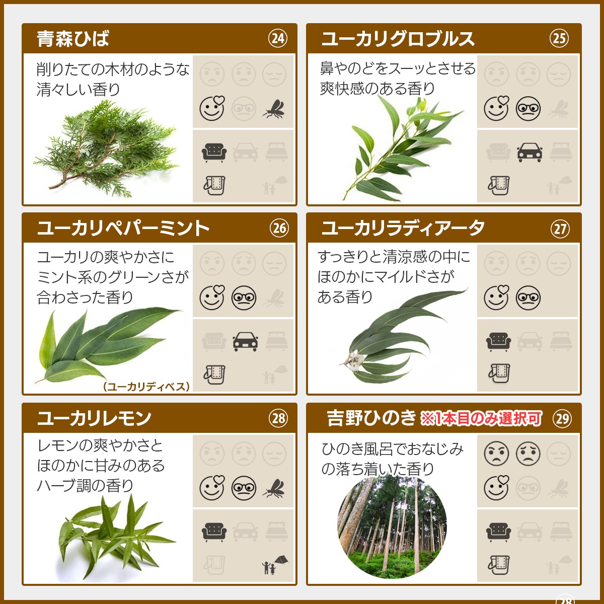 アロマスプレー 選べる セット 18mlx3本 ジェル状スプレー 電解還元性イオン水 アルコール未使用 エッセンシャルオイル 精油 アロマ 植物由来 天然由来成分 【送料無料】