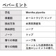 ペパーミント 30ml 【エッセンシャルオイル アロマオイル 精油 ミント ハーブ系】【AEAJ表示基準適合認定精油】