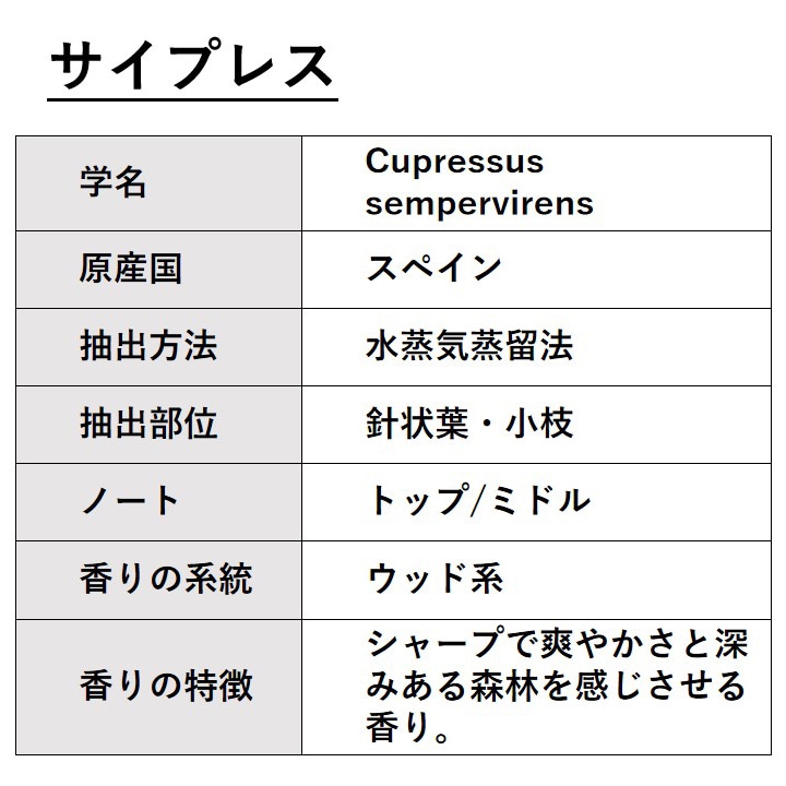 サイプレス 100ml 【エッセンシャルオイル アロマオイル 精油 樹木系】【AEAJ表示基準適合認定精油】