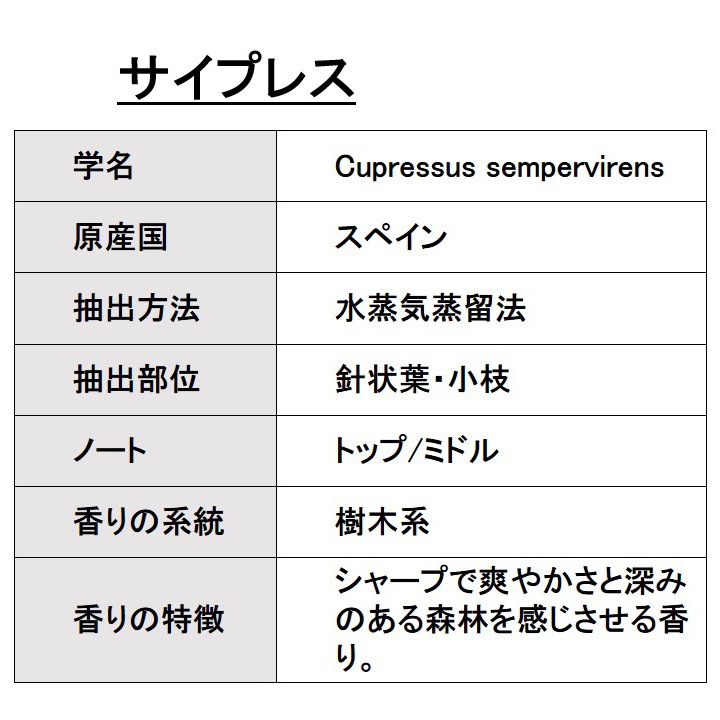 オーガニック サイプレス エッセンシャルオイル 50ml アロマオイル 精油 AEAJ認定 天然 有機 Organic 業務用
