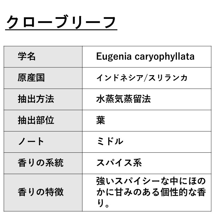 クローブリーフ 業務用 1kg 【エッセンシャルオイル アロマオイル 精油 スパイス系】【AEAJ表示基準適合認定精油】【安全データシートMSDS発行可】