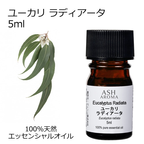 ユーカリラディアータ 5ml 【エッセンシャルオイル アロマオイル 精油 樹木系 ユーカリ ユーカリラジアータ ユーカリラディエータ】【AEAJ表示基準適合認定精油】