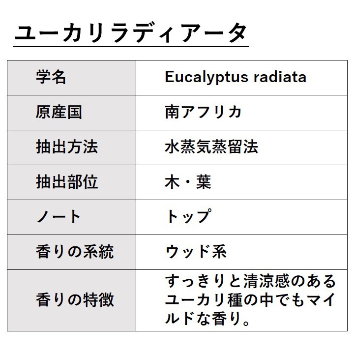 ユーカリラディアータ 5ml 【エッセンシャルオイル アロマオイル 精油 樹木系 ユーカリ ユーカリラジアータ ユーカリラディエータ】【AEAJ表示基準適合認定精油】