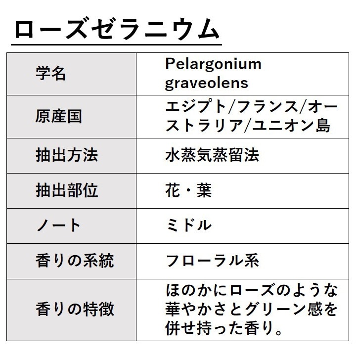 ローズゼラニウム 精油 10ml 箱入り エッセンシャルオイル アロマオイル ASH AROMA