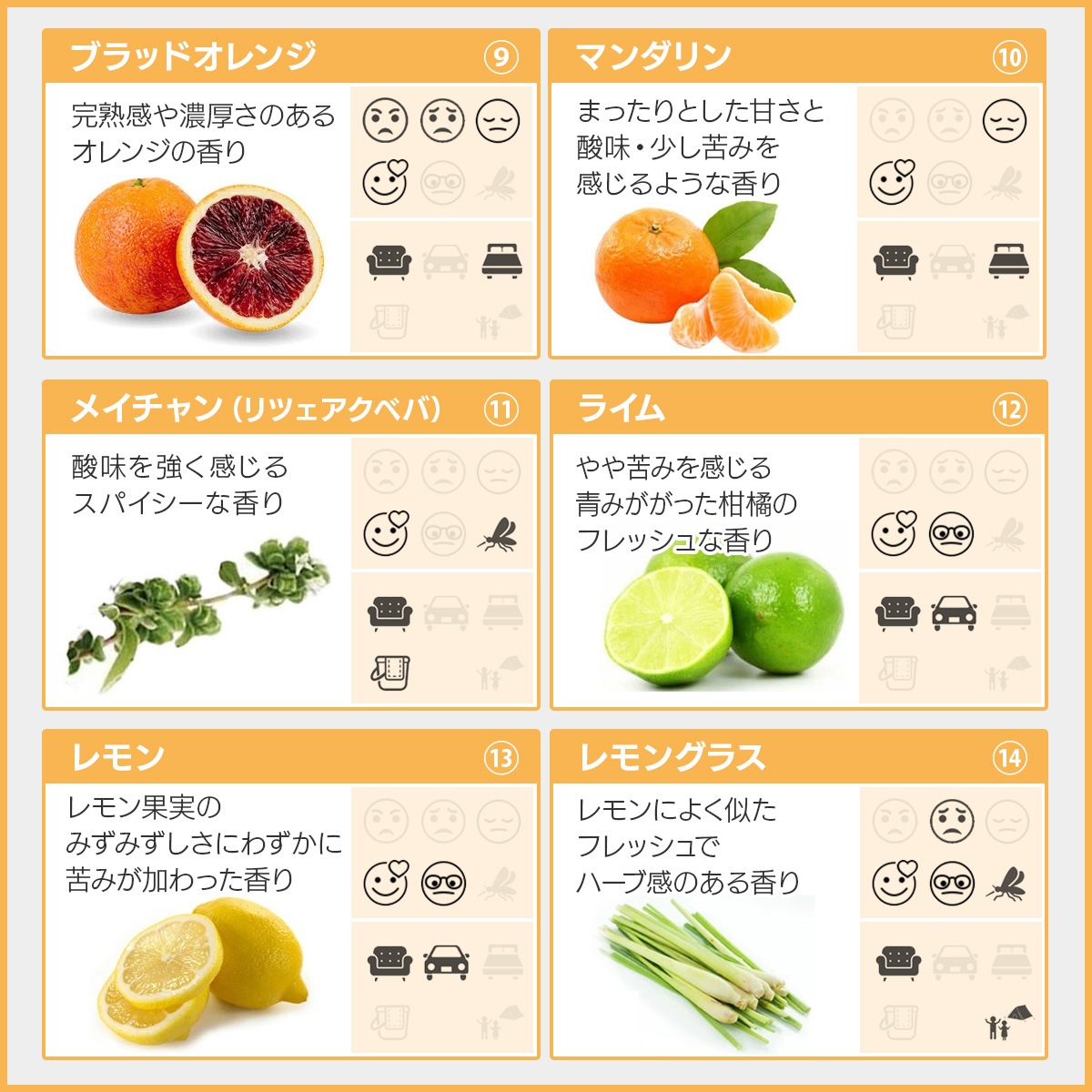 アロマオイル 選べる セット 10mlx5本 エッセンシャルオイル 精油 AEAJ認定 天然 アロマ 【送料無料】