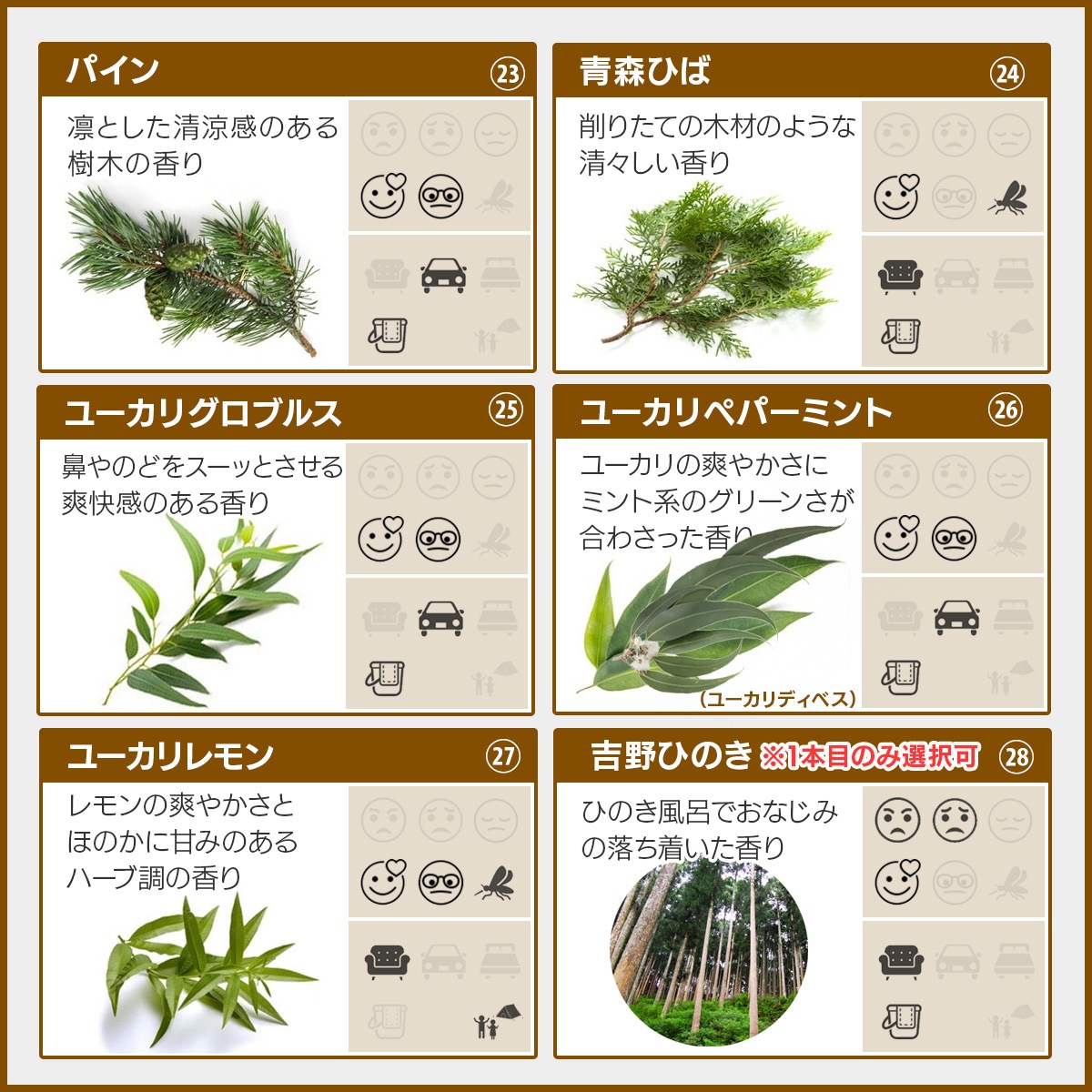 アロマオイル 選べる セット 10mlx5本 エッセンシャルオイル 精油 AEAJ認定 天然 アロマ 【送料無料】