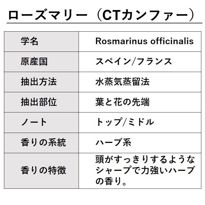 ローズマリー CTカンファー 精油 10ml 箱入り エッセンシャルオイル アロマオイル ASH AROMA