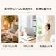 アロマオイル 選べる セット 5mlx5本 エッセンシャルオイル 精油 AEAJ認定 天然 アロマ