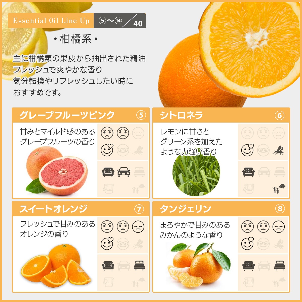 アロマオイル 選べる セット 10mlx8本 エッセンシャルオイル 精油 AEAJ認定 天然 アロマ 【メール便送料無料】