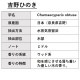吉野ひのき 精油 10ml 箱入り エッセンシャルオイル アロマオイル ASH AROMA