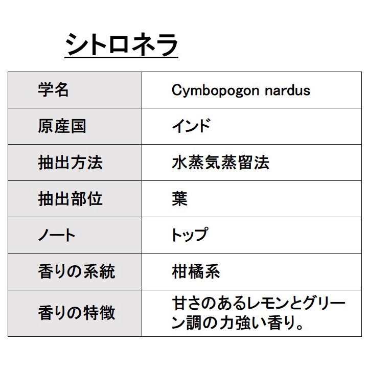 オーガニック シトロネラ エッセンシャルオイル 10ml アロマオイル 精油 AEAJ認定 天然 有機 Organic