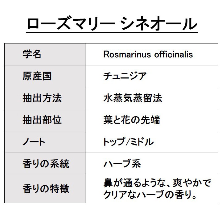 オーガニック ローズマリー CTシネオール エッセンシャルオイル 50ml アロマオイル 精油 AEAJ認定 天然 有機 Organic 業務用