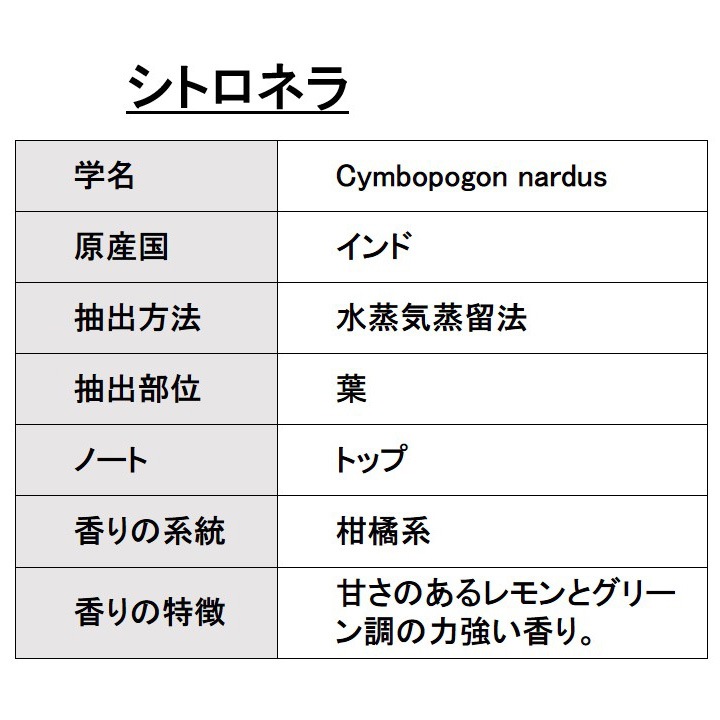 オーガニック シトロネラ エッセンシャルオイル 100ml アロマオイル 精油 AEAJ認定 天然 有機 Organic 業務用