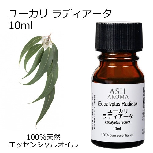 ユーカリラディアータ 10ml 箱入り【エッセンシャルオイル アロマオイル 精油 樹木系 ユーカリ ユーカリラジアータ ユーカリラディエータ】【AEAJ表示基準適合認定精油】