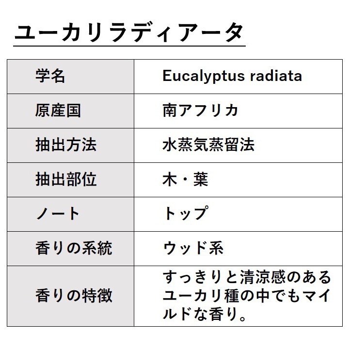 ユーカリラディアータ 10ml 箱入り【エッセンシャルオイル アロマオイル 精油 樹木系 ユーカリ ユーカリラジアータ ユーカリラディエータ】【AEAJ表示基準適合認定精油】