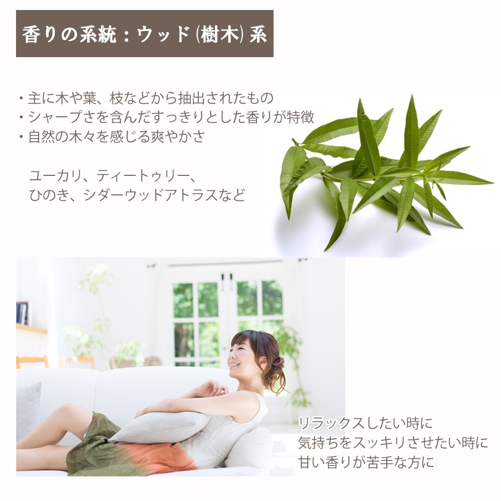 ユーカリラディアータ 10ml 箱入り【エッセンシャルオイル アロマオイル 精油 樹木系 ユーカリ ユーカリラジアータ ユーカリラディエータ】【AEAJ表示基準適合認定精油】