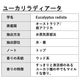 ユーカリラディアータ 精油 10ml 箱入り エッセンシャルオイル アロマオイル ASH AROMA