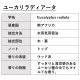 ユーカリラディアータ 10ml 箱入り【エッセンシャルオイル アロマオイル 精油 樹木系 ユーカリ ユーカリラジアータ ユーカリラディエータ】【AEAJ表示基準適合認定精油】