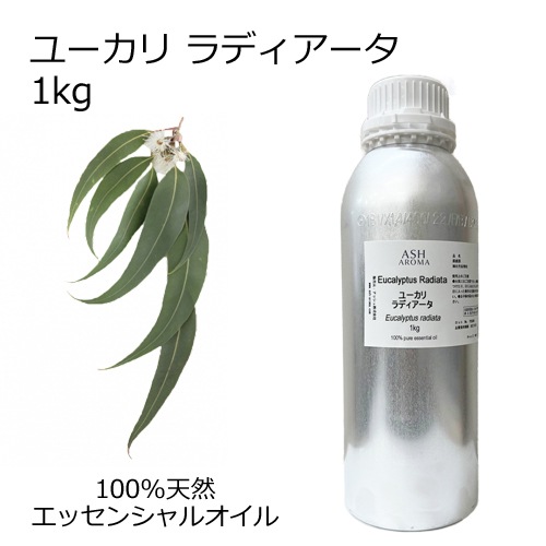 ユーカリラディアータ 業務用 1kg 【エッセンシャルオイル アロマオイル 精油 樹木系 ユーカリ ユーカリラジアータ ユーカリラディエータ】【AEAJ表示基準適合認定精油】【安全データシートMSDS発行可】