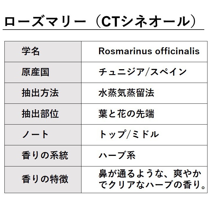 ローズマリー （CTシネオール） 30ml 【エッセンシャルオイル アロマオイル 精油 ハーブ系】【AEAJ表示基準適合認定精油】