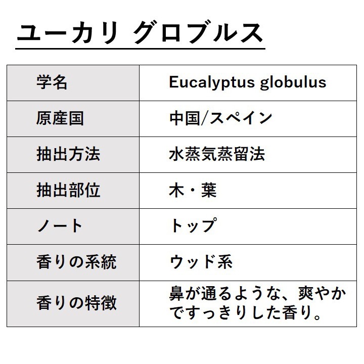 ユーカリ グロブルス 5ml 【エッセンシャルオイル アロマオイル 精油 樹木系】【AEAJ表示基準適合認定精油】