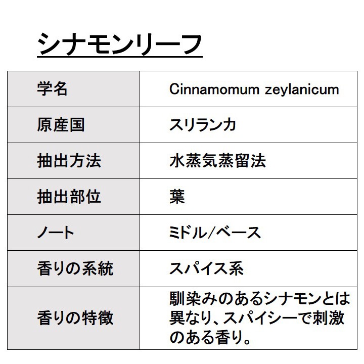 オーガニック シナモンリーフ  エッセンシャルオイル 50ml アロマオイル 精油 AEAJ認定 天然 有機 Organic 業務用